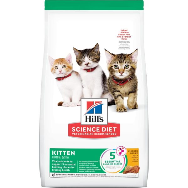 Hills Kitten