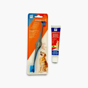 Kit Dental - Brush Mate