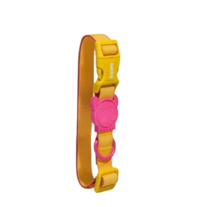 Zee Dog Lyra Neopro Collar - Medium